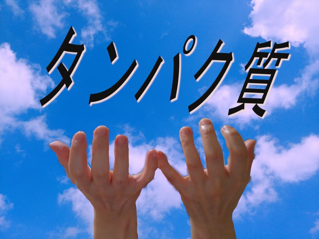 高タンパク